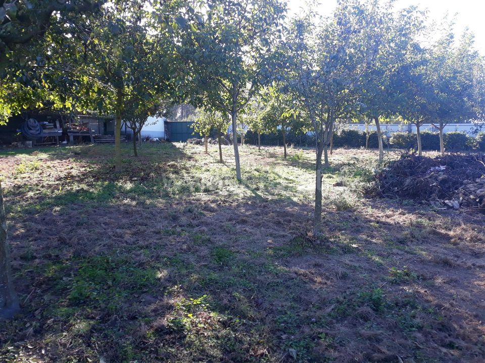Helårsgrund i Barcelos, Braga - foto 3