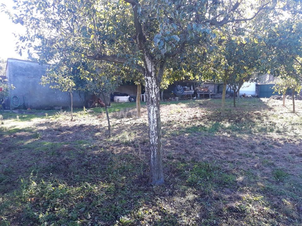 Helårsgrund i Barcelos, Braga - foto 4