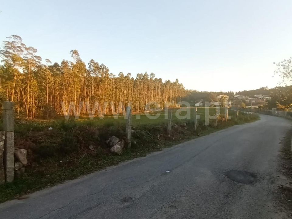 Helårsgrund i Barcelos, Braga - foto 1