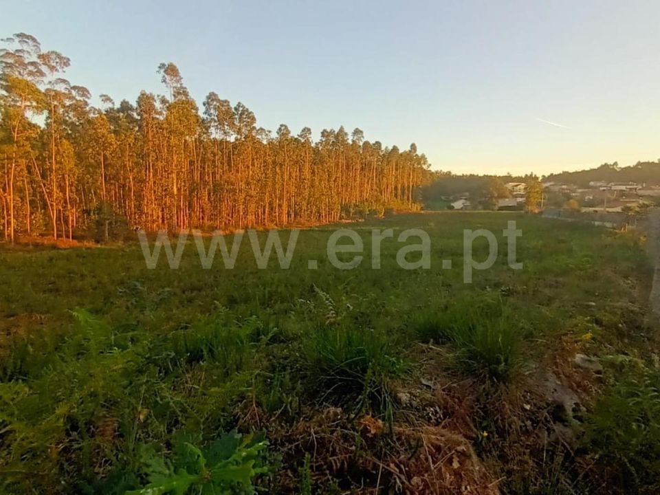 Helårsgrund i Barcelos, Braga - foto 5