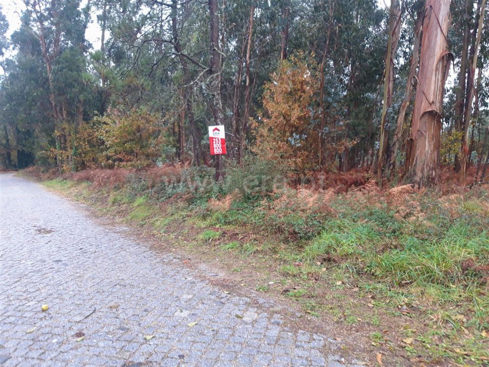 Helårsgrund i Barcelos, Braga - foto 1