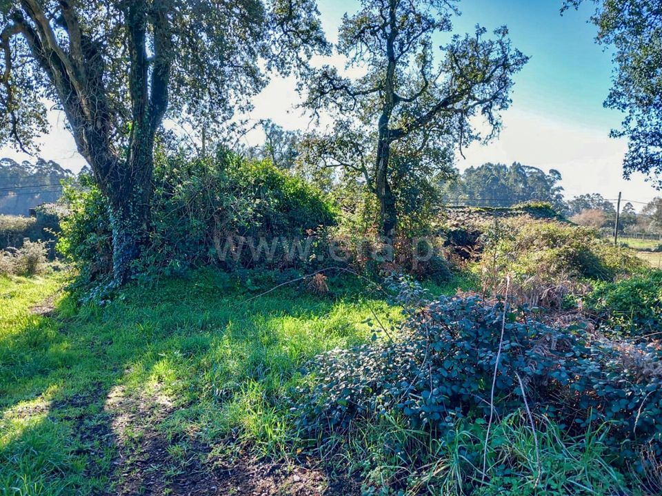 Helårsgrund i Esposende, Braga - foto 2