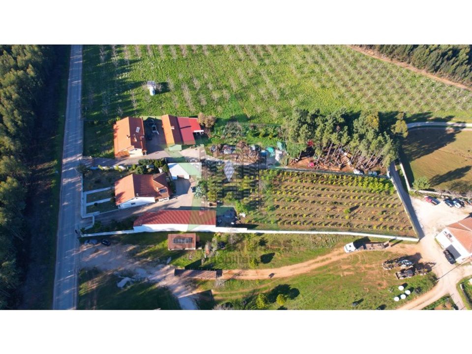 Villa i Ferreira do Zezere, Santarem - foto 5