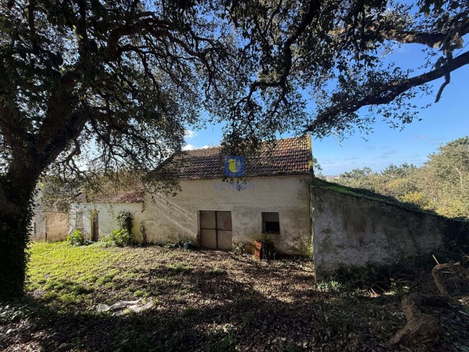Farm i Obidos, Leiria - foto 1