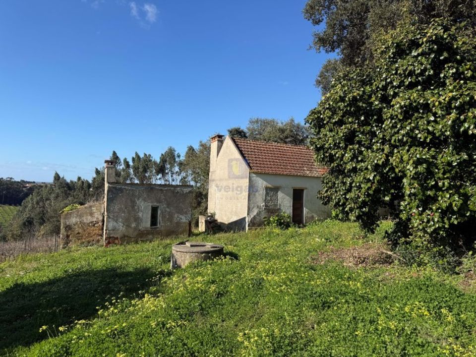 Farm i Obidos, Leiria - foto 3