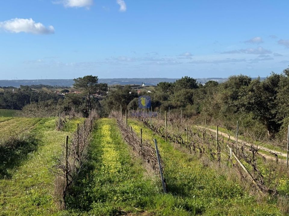 Farm i Obidos, Leiria - foto 5