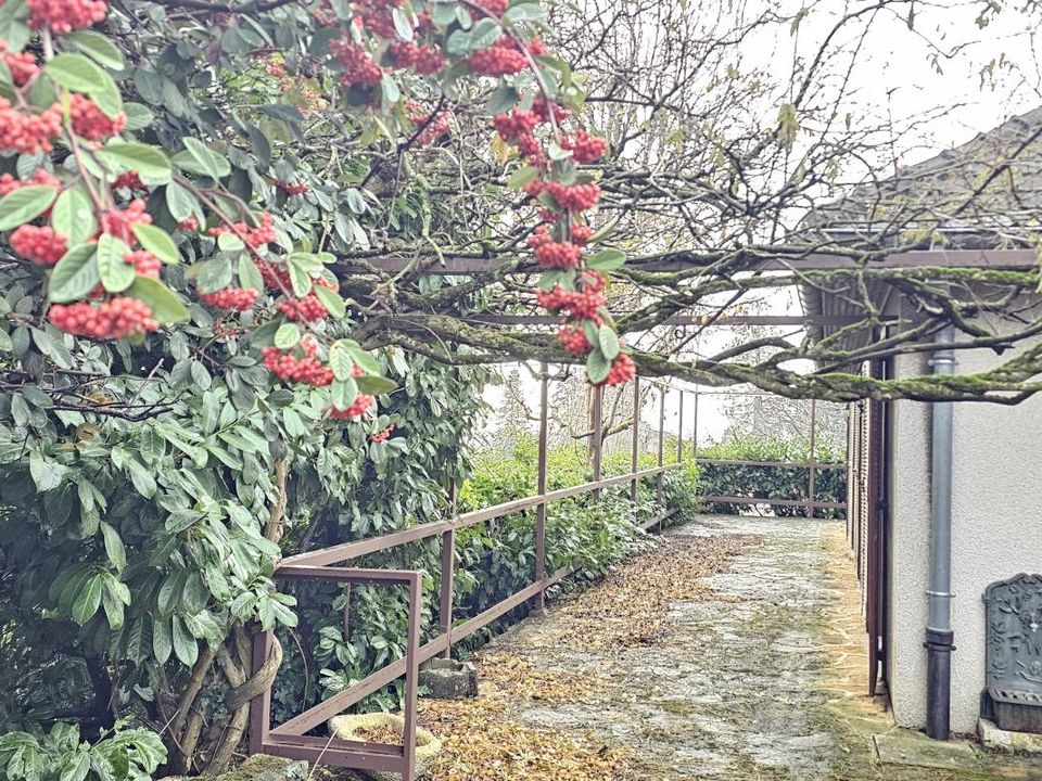 Villa i Saint-Cyr-au-Mont-d'Or, Rhone - foto 1