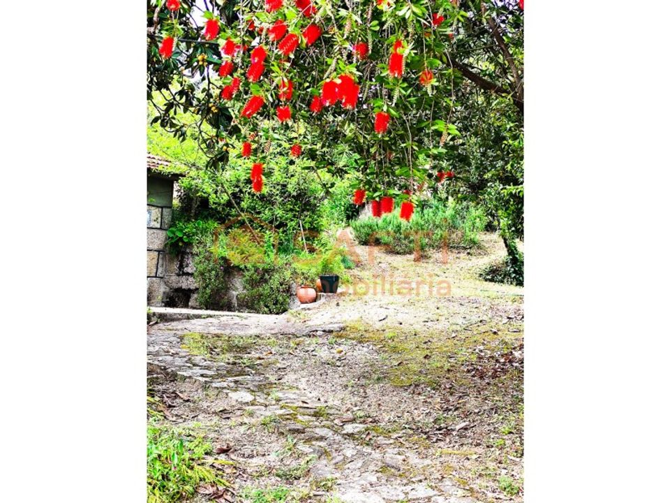 Farm i Amarante, Porto - foto 3