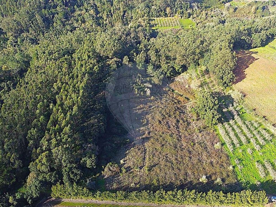 Helårsgrund i Bombarral, Leiria - foto 5