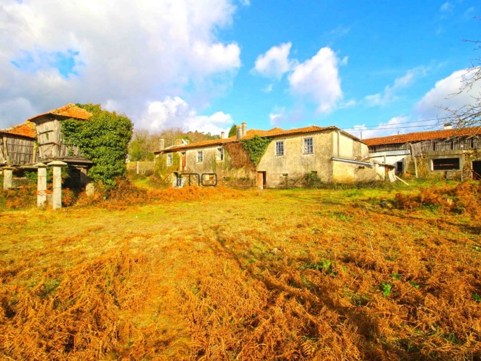 Farm i Lobao, Aveiro - foto 1