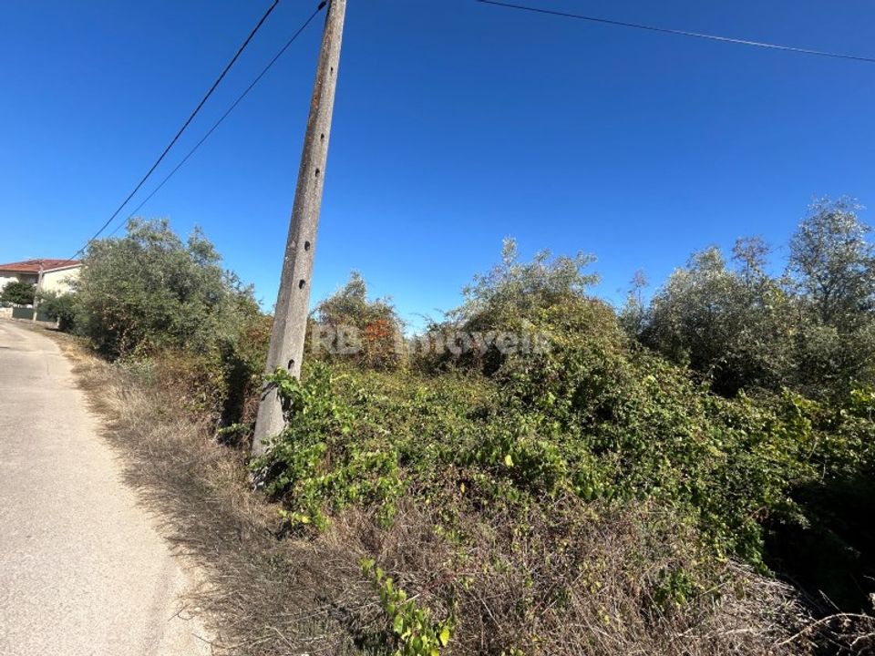 Helårsgrund i Tomar, Santarem - foto 1