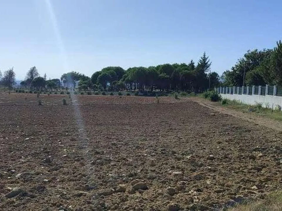 Farm i Seia, Guarda - foto 3