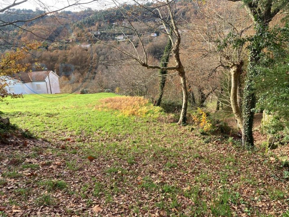 Villa i Cabeceiras de Basto, Braga - bilde 4