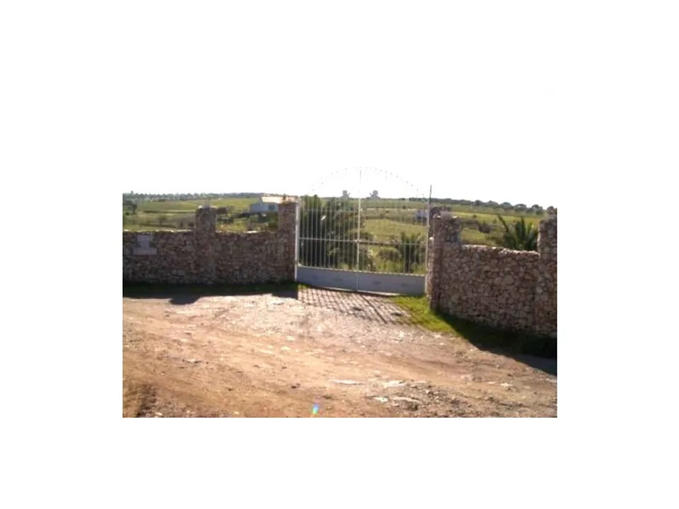 Granja en Amareleja, Beja - foto 2