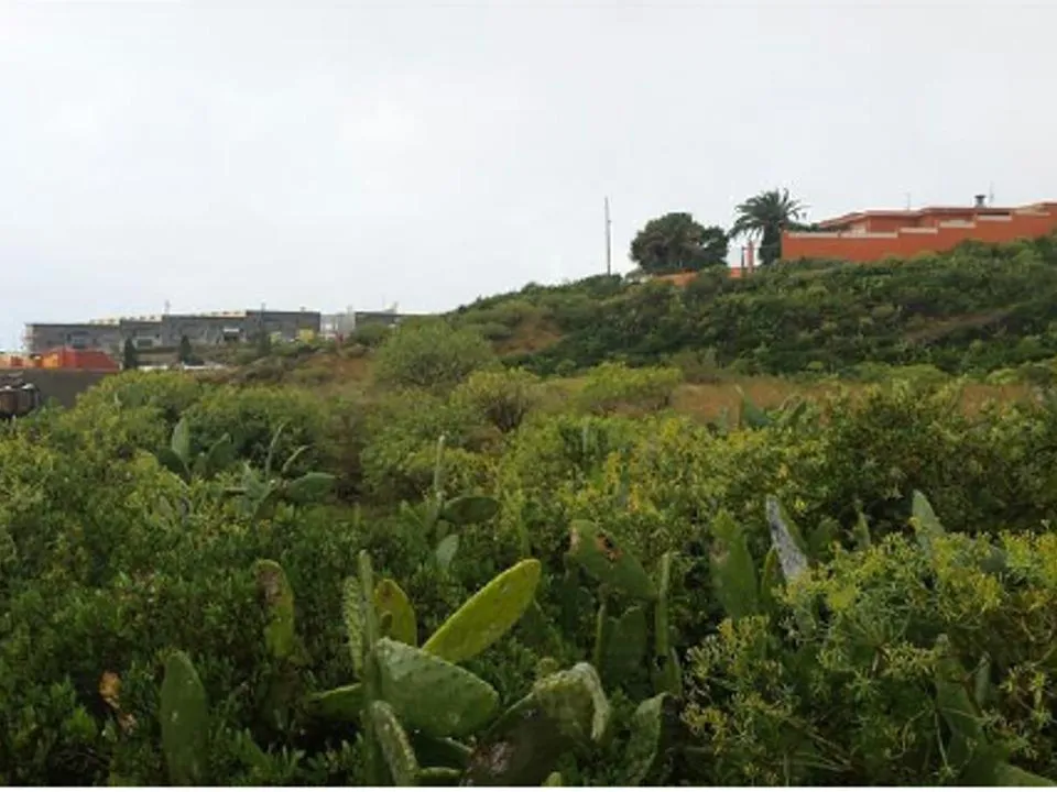 Helårsgrund i Santa Cruz De Tenerife, Tenerife - foto 5