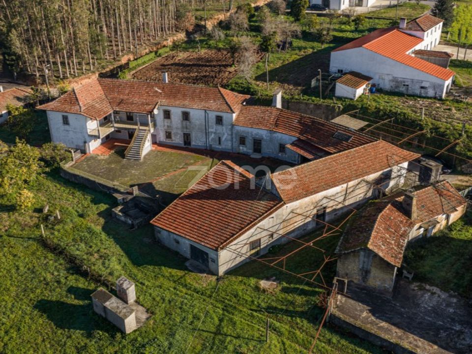 Farm i Santa Maria da Feira, Aveiro - foto 1
