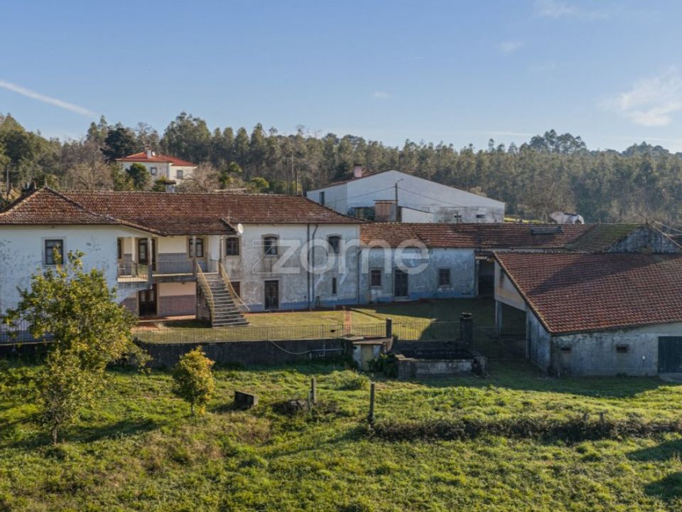 Farm i Santa Maria da Feira, Aveiro - foto 3