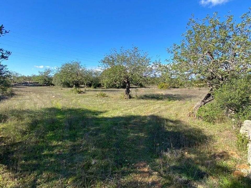 Helårsgrund i Sao Bras de Alportel, Faro - foto 1