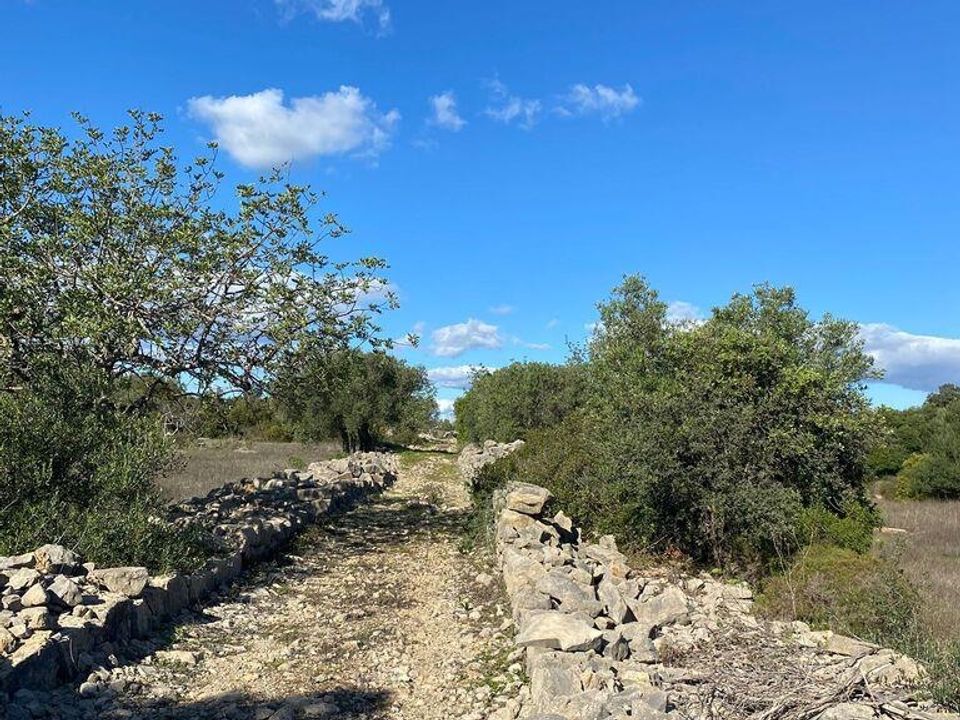 Helårsgrund i Sao Bras de Alportel, Faro - foto 2