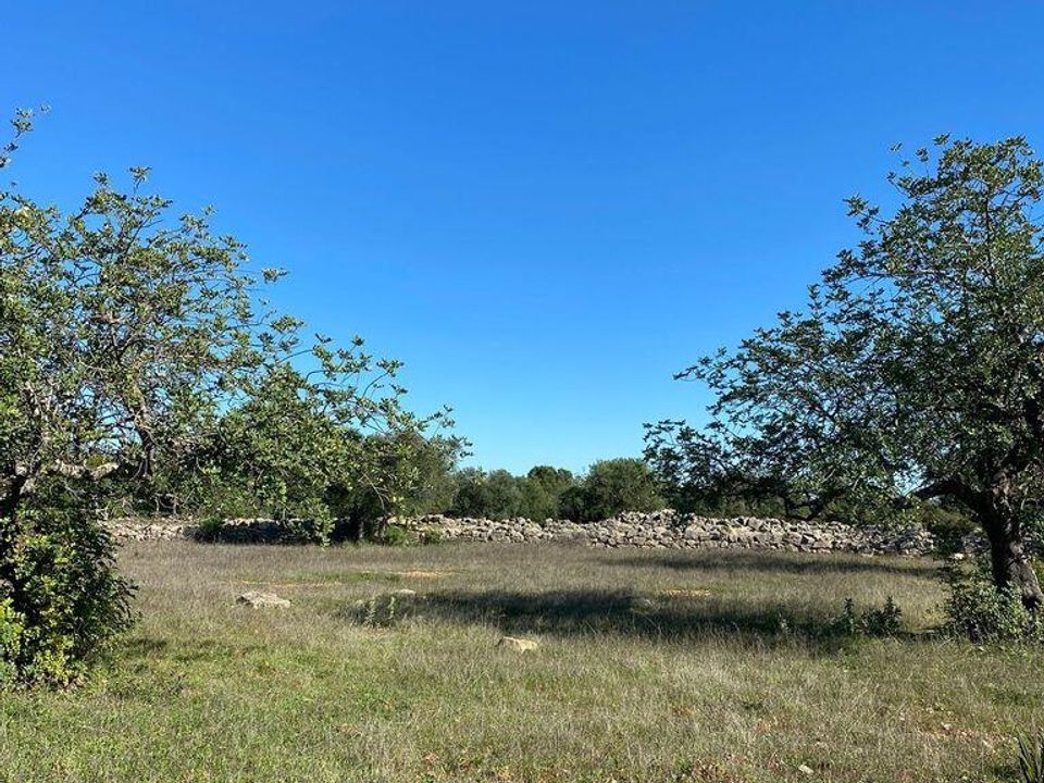 Helårsgrund i Sao Bras de Alportel, Faro - foto 5
