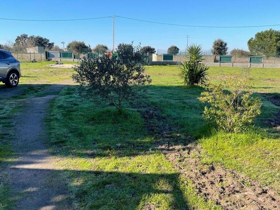 Helårsgrund i Palmela, Setubal - foto 3