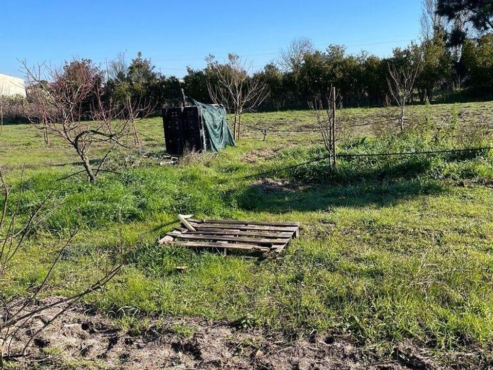 Helårsgrund i Palmela, Setubal - foto 4