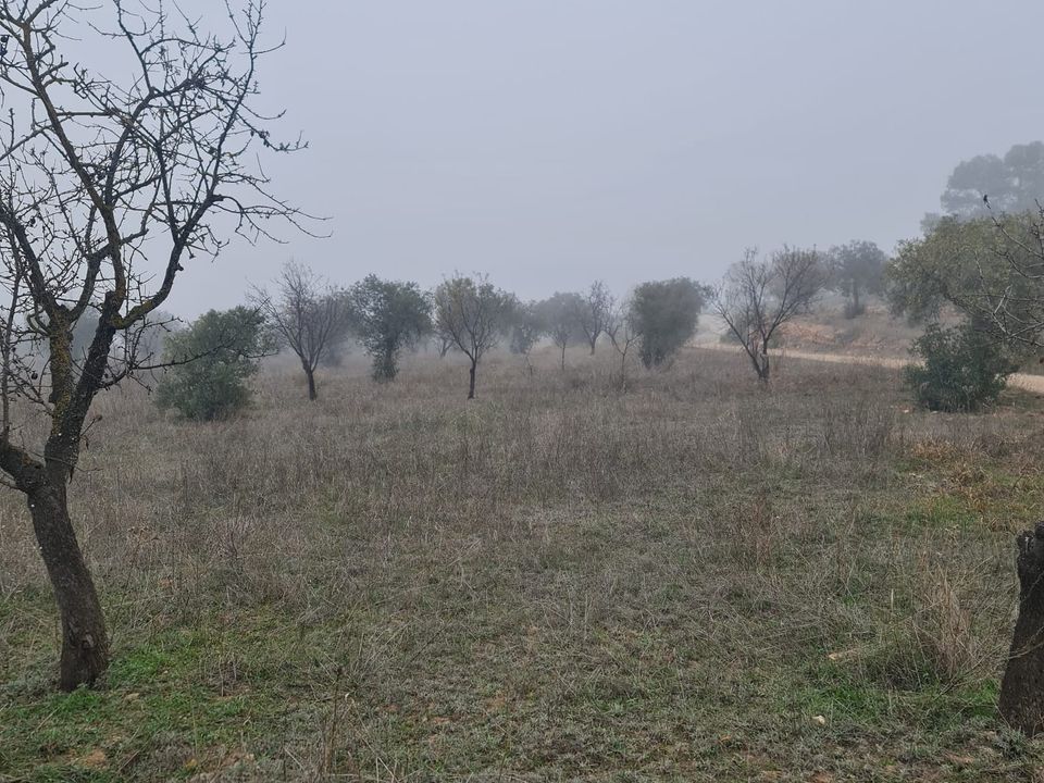 Finca i Bovera, Lerida - foto 5