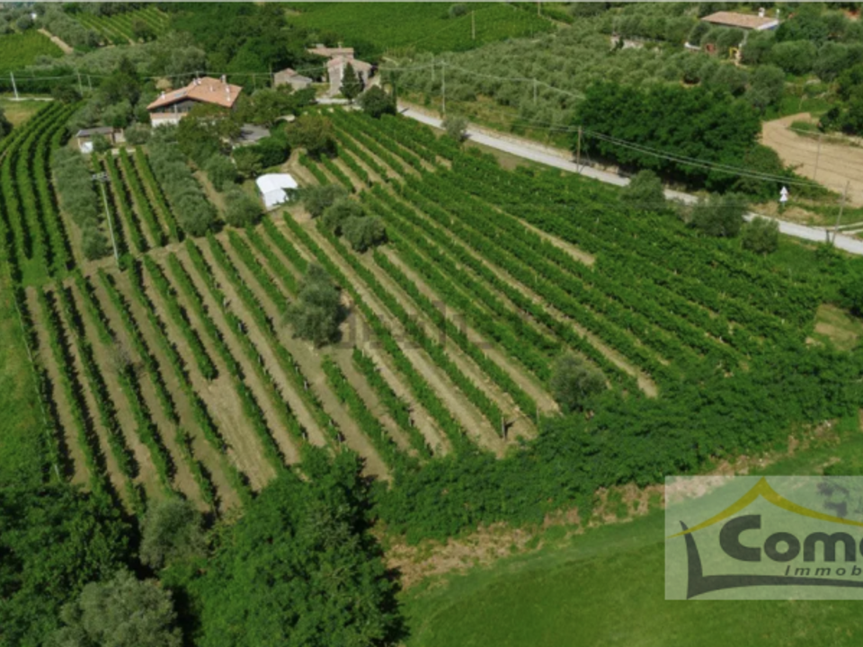 Landejendom i Cinto Euganeo, Padua - foto 5