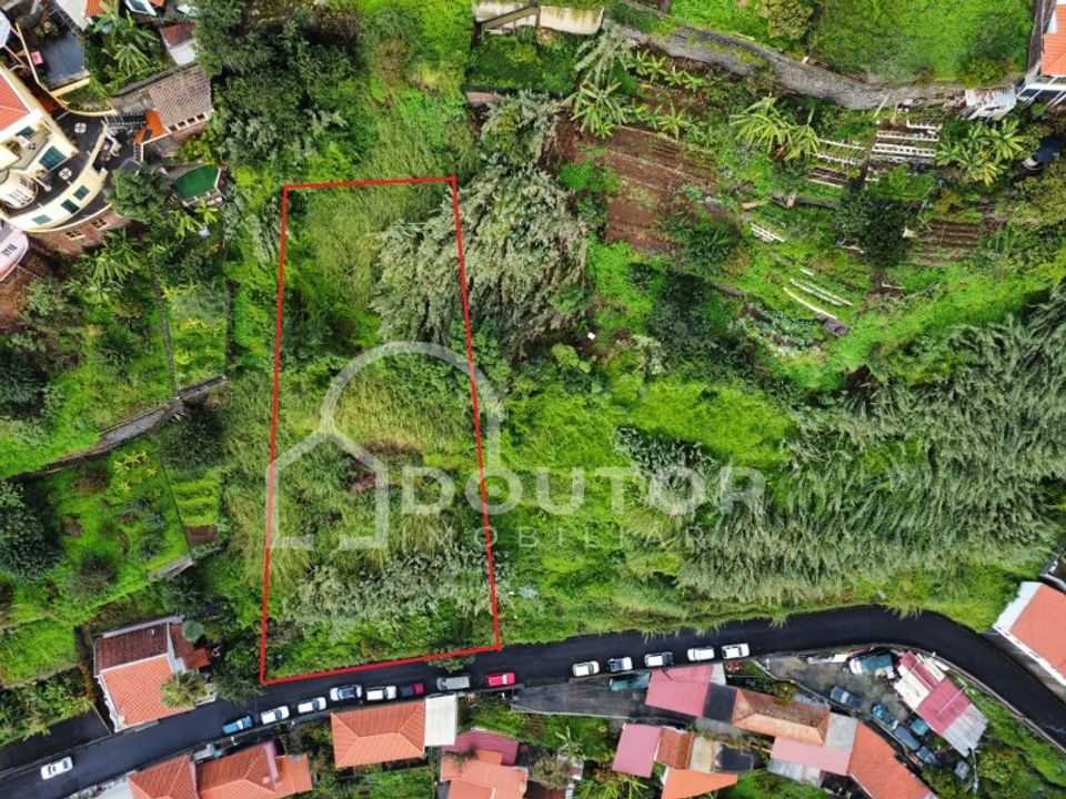 Helårsgrund i Sao Roque, Madeira - foto 1
