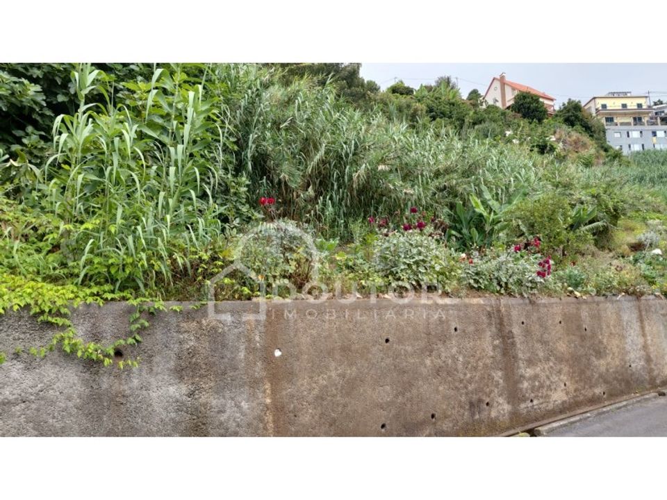 Helårsgrund i Sao Roque, Madeira - foto 3