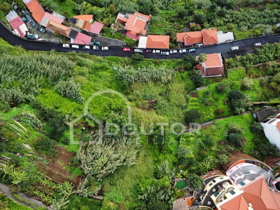 Helårsgrund i Sao Roque, Madeira - foto 5