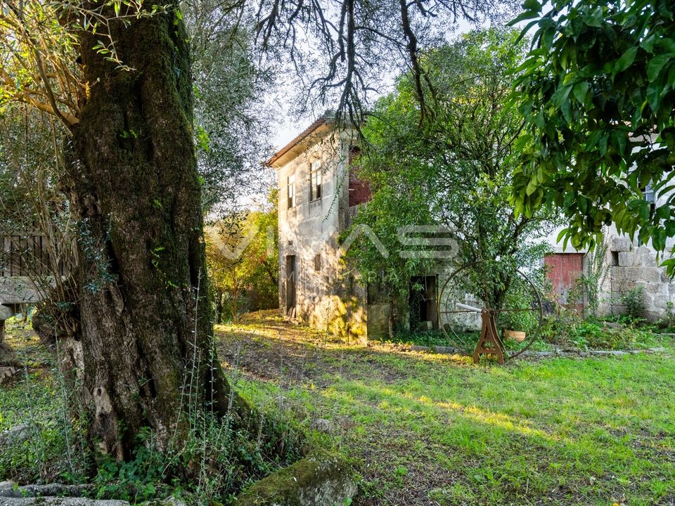 Farm i Amares, Braga - foto 3