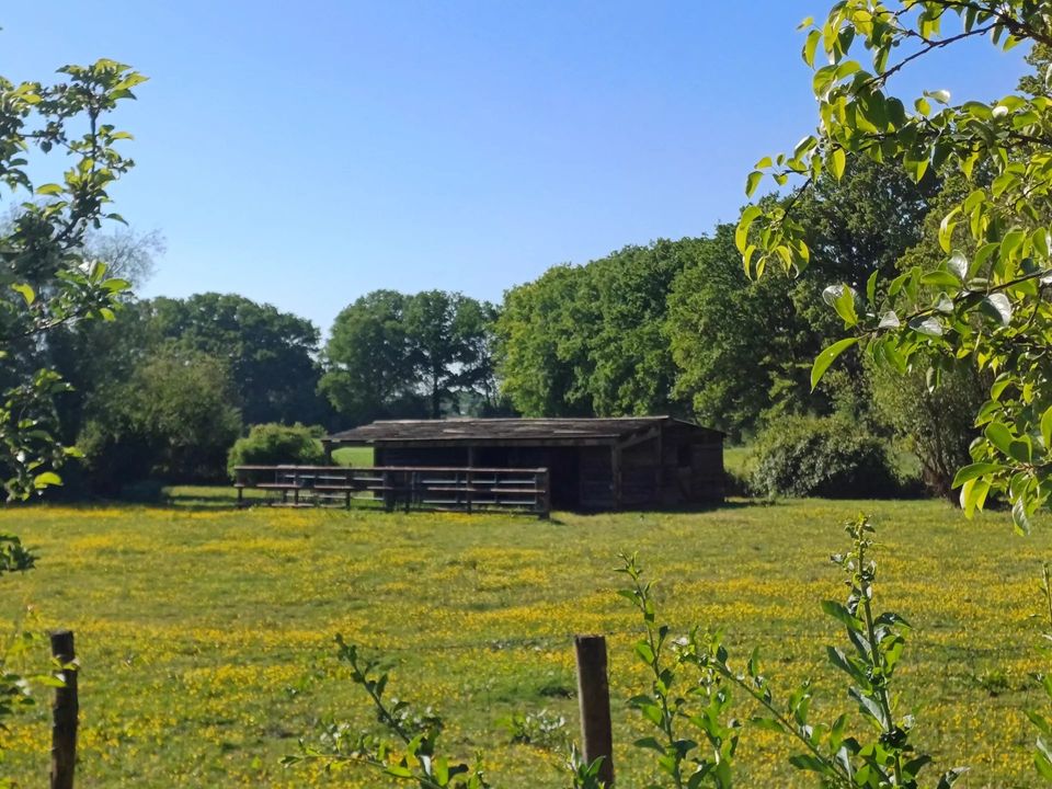 Villa i Longny les Villages, Orne - foto 5