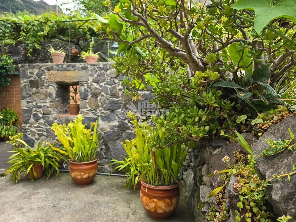 Villa i Santana, Madeira - foto 1