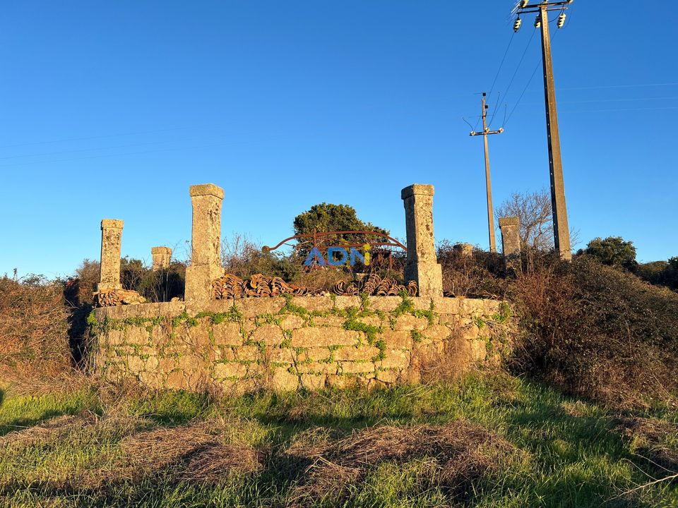 Farm hus i Castelo Branco, Castelo Branco - foto 4
