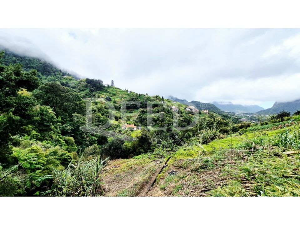 Helårsgrund i Machico, Madeira - foto 3