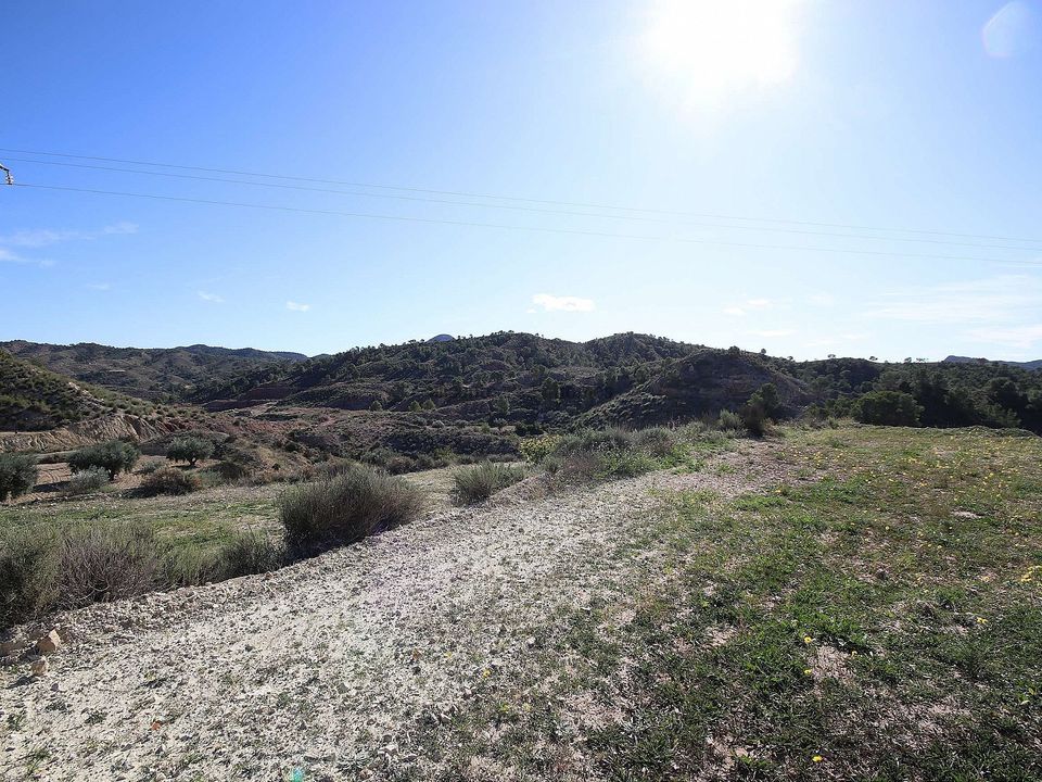 Helårsgrund i Abanilla, Murcia - foto 4