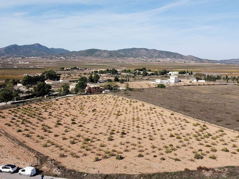 Helårsgrund i Pinoso, Alicante - foto 1