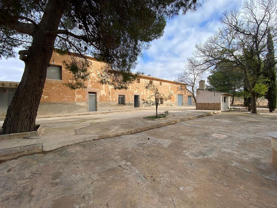 Landejendom i Pinoso, Alicante - foto 1