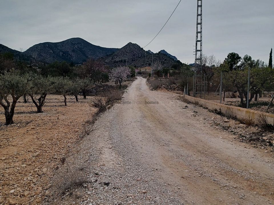 Helårsgrund i La Romana, Alicante - foto 5