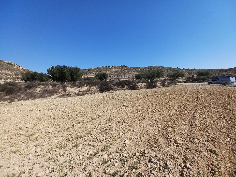 Helårsgrund i Pinoso, Alicante - foto 1