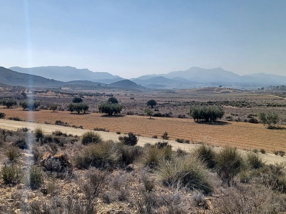 Helårsgrund i Pinoso, Alicante - foto 3