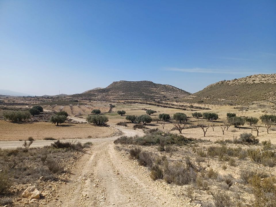 Helårsgrund i Pinoso, Alicante - foto 4