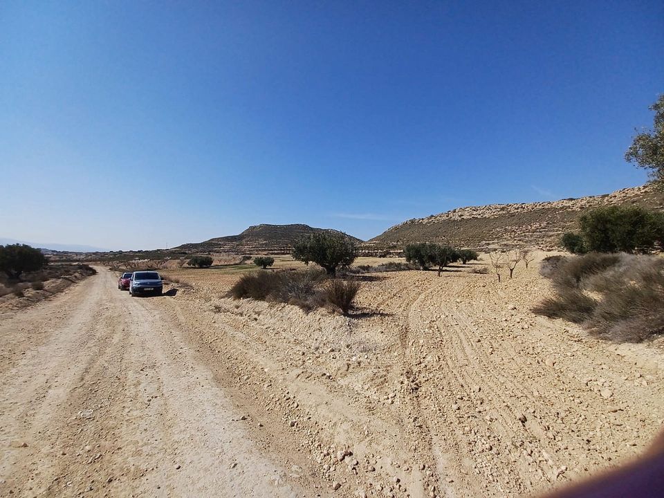 Helårsgrund i Pinoso, Alicante - foto 5