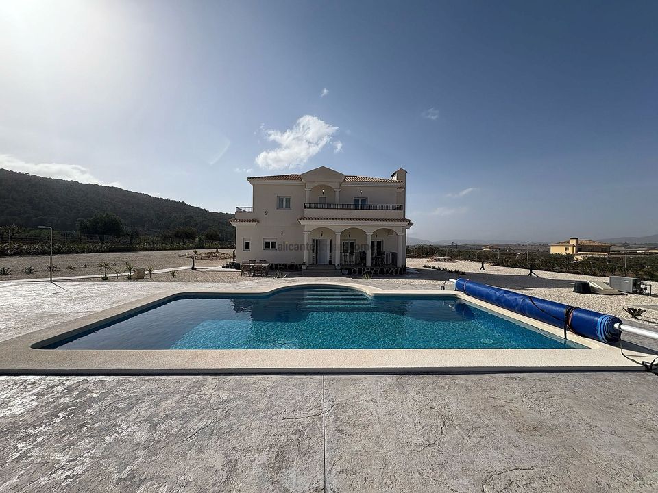 Villa i Pinoso, Alicante - foto 1