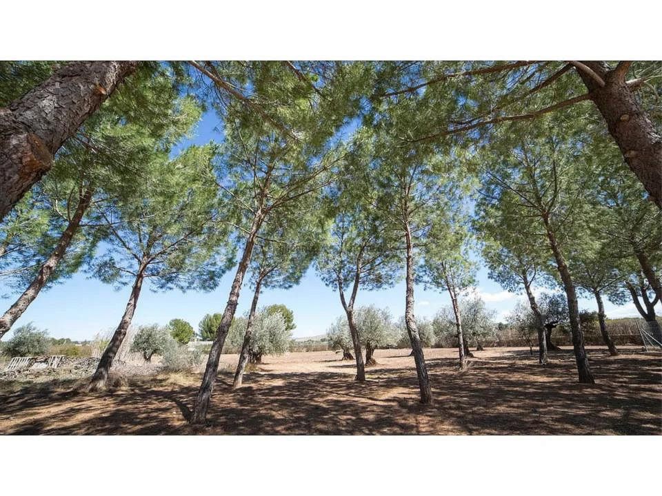 Villa in Yecla, Murcia - foto 5