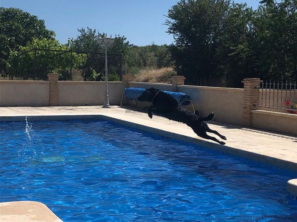 Landejendom i Raspay, Murcia - foto 2