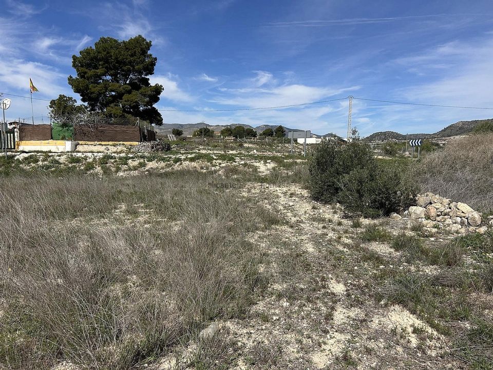 Helårsgrund i Hondon De Las Nieves, Alicante - foto 3