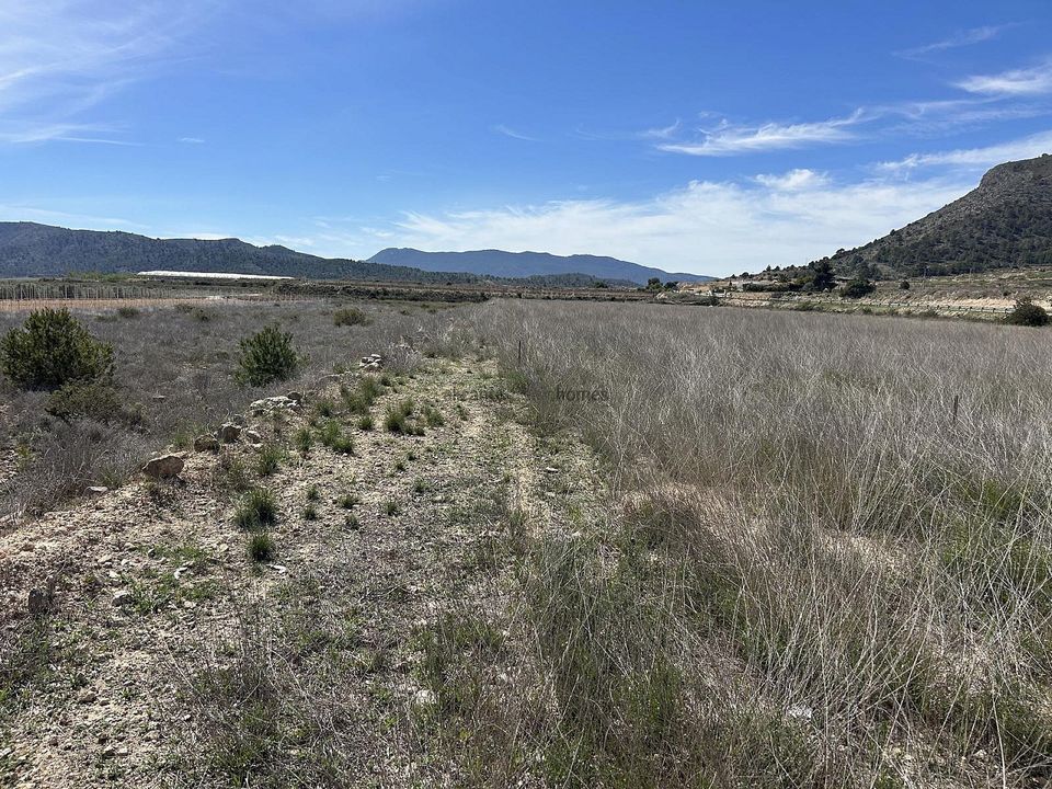 Helårsgrund i Hondon De Las Nieves, Alicante - foto 5