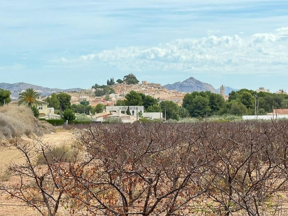 Tomt i Monovar, Alicante - bilde 1